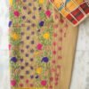 Beige-brown-phulkari-cotton-punjabi-salwar