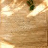 Fardi-mukaish-embroidered-tussar-silk-dupatta
