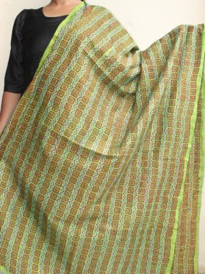 Leaf-green-block-printed-kanthawork-silk-dupatta