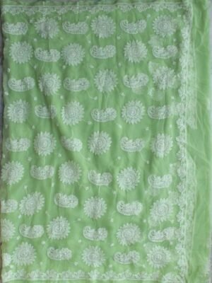 Lime-green-georgette-chikankari-saree