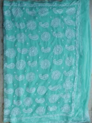 Mint-green-jorjet-chikankari-embroidered-saree