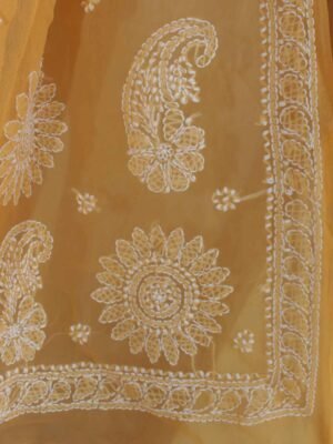 Pastel-orange-lucknow-chikankari-jorjet-sari
