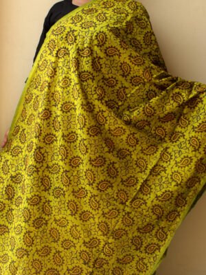 lime-green-and-dark-green-block-print,-kanthawork-silk-dupatta