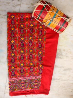 multicolour-phulkari-on-red-salwar-fabric