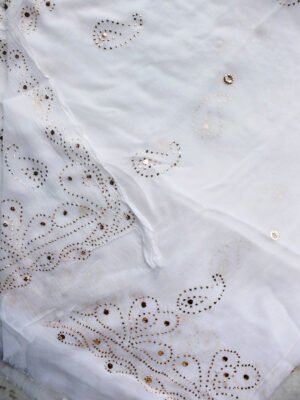 paisley-mukaish-work-kaamdani-dupatta