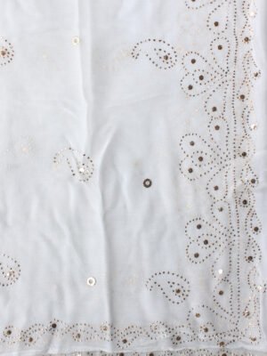 aisley-mukesh-zari-work-white-georgette-dupatta-