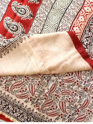 red-and-black-mughal-block-printed-silk-cotton-saree