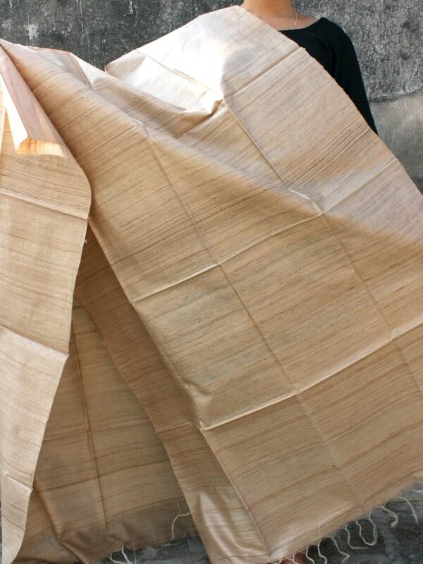Bhagalpuri-desi-tussar-silk-dupatta