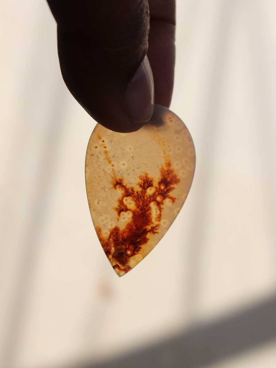 Drop-shape-dendritic-agate