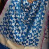 Blue-pure-katan-silk-cutwork-Banarasi-dupatta