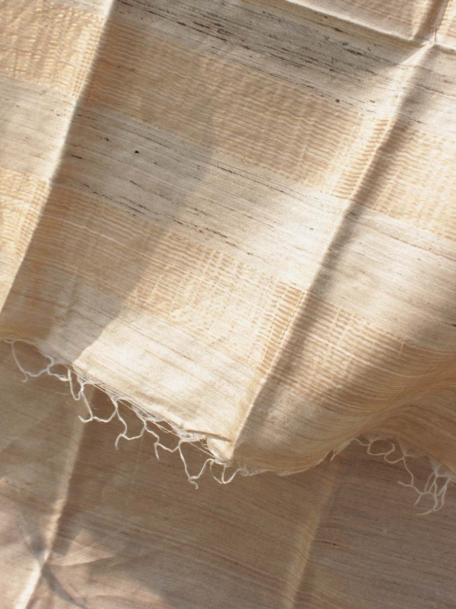Zariwork-beige-pure-Desi-tassar-silk-Sari Zariwork-beige-pure-Desi-tassar-silk-Sari at Shilphaat.com