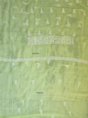 mindaro-Yellow-georgette-chikankari-salwar-suit at SHilphaat.com