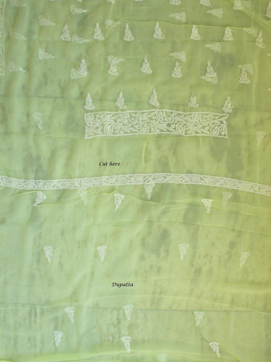 mindaro-Yellow-georgette-chikankari-salwar-suit mindaro-Yellow-georgette-chikankari-salwar-suit at SHilphaat.com