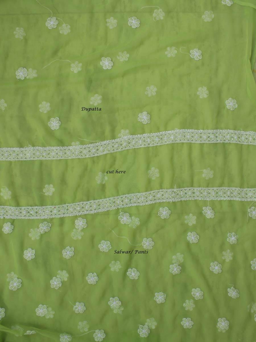Apple-green--georgette-chikankari-salwar-suit Apple-green--georgette-chikankari-salwar-suit at Shilphaat.com