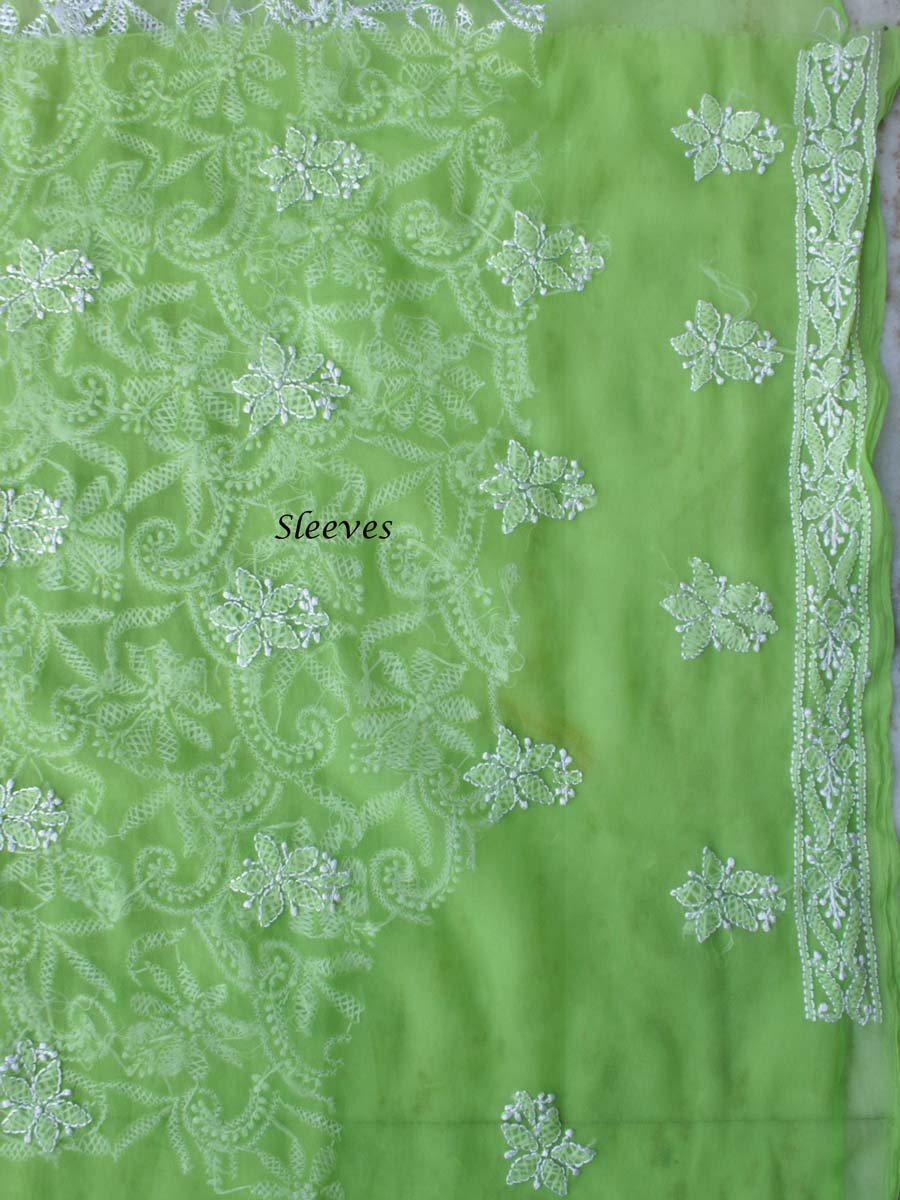 Dhani-Green-resham-chikankari-ladies-kurta Dhani-Green-resham-chikankari-ladies-kurta at Shilphaat.com