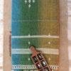 Kala-cotton-rainbow-bhujodi-dupatta at Shilphaat